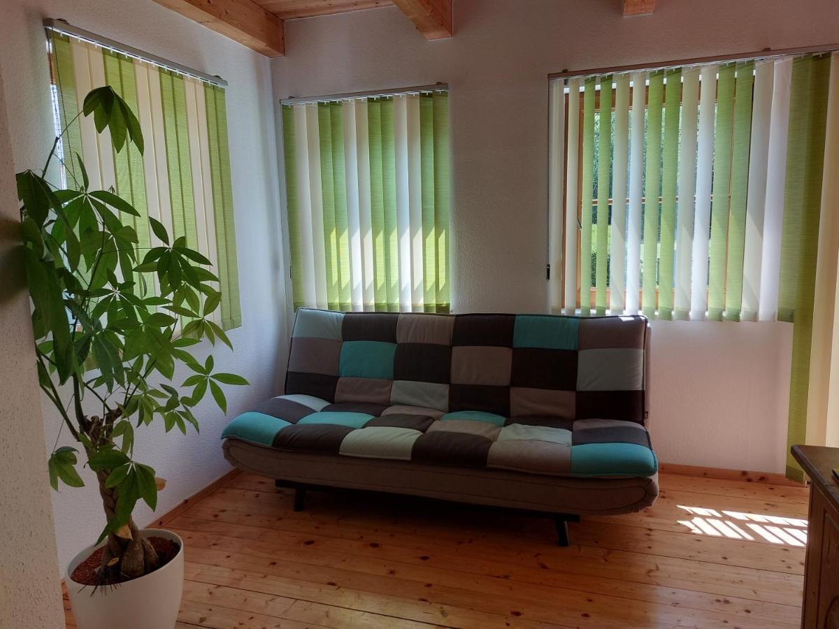 Grimmingapartment Maier Stainach Exterior photo